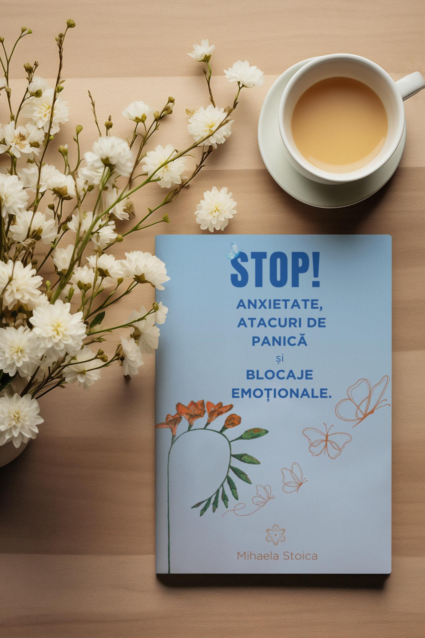 Stoica Mihaela. Cartea.